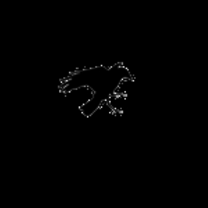 crowsfashionboutique