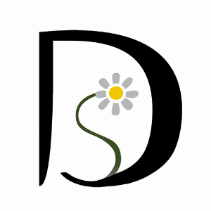 Daisysilk Trade Co Ltd