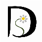 Daisysilk Trade Co Ltd