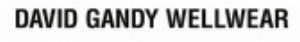 David Gandy Wellwear