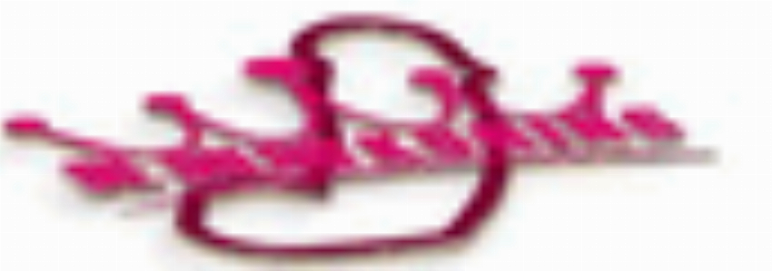 Kortingscode voor hot summer discount 30% off bij DeDildoKoning