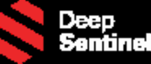 Deep Sentinel Home Security