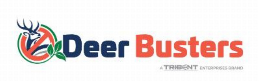 DeerBusters