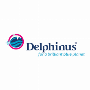 Delphinus Reporting Realtime