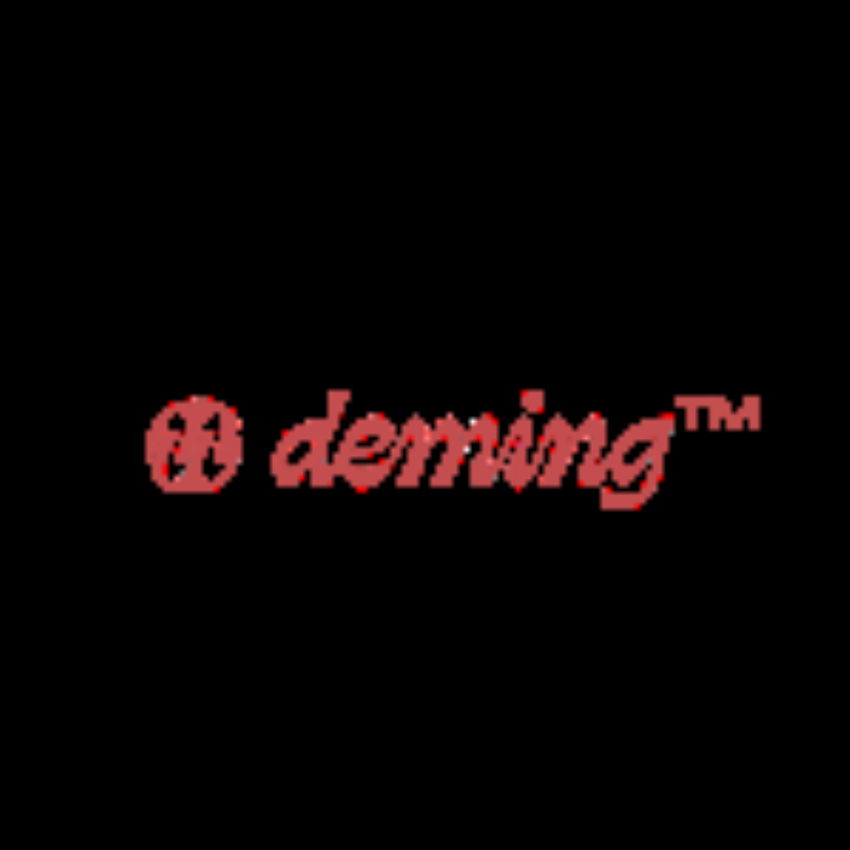 Deming Footwear