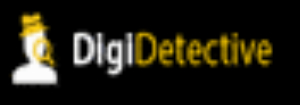DigiDetective Online Groepsactiviteit