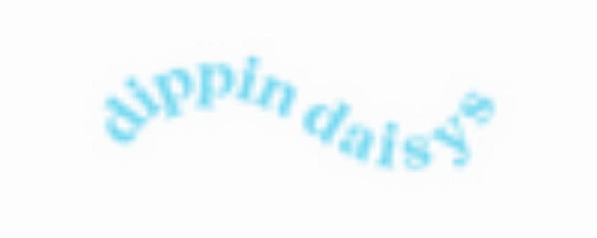 Dippindaisys