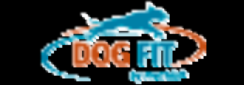 DOG T by PreThis Shop