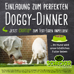 Doggy-dinner