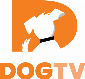 DogTV