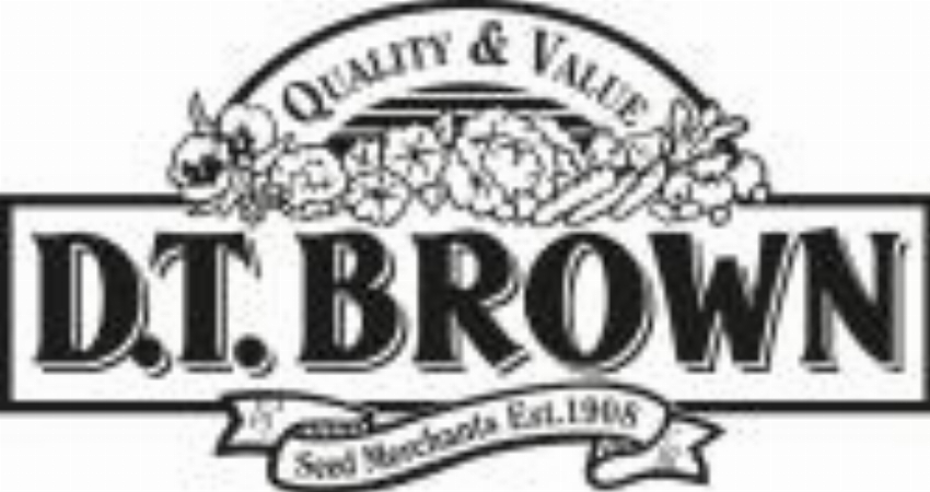 dtbrownseeds