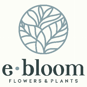 E-Bloom