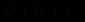 E1011 Labs