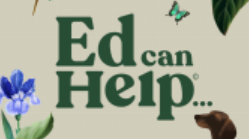 Ed can Help
