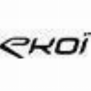 Ekoi IT - Programmatica Monetizazione