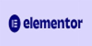 Elementor -WW