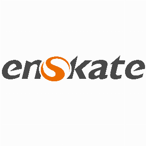 enskateboard