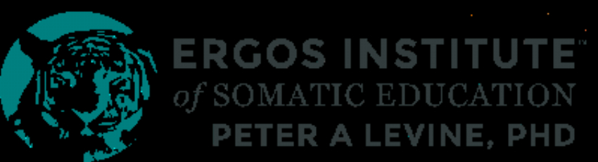 Ergos Institute