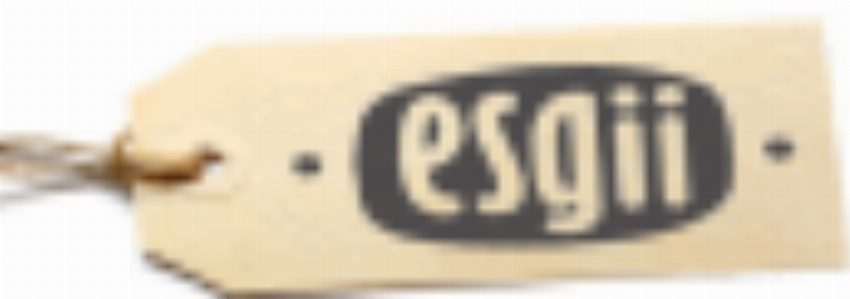 Kortingscode voor vilten zomer slippers bij Esgii - FamilyBlend