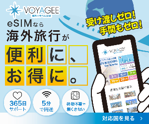 eSIM VOYAGEESIM 23-1214