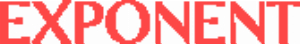 Exponent Beauty