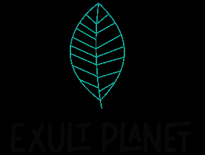 ExultPlanet