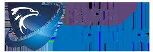 Falcon Electronics