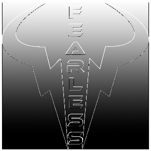 fearless-sports