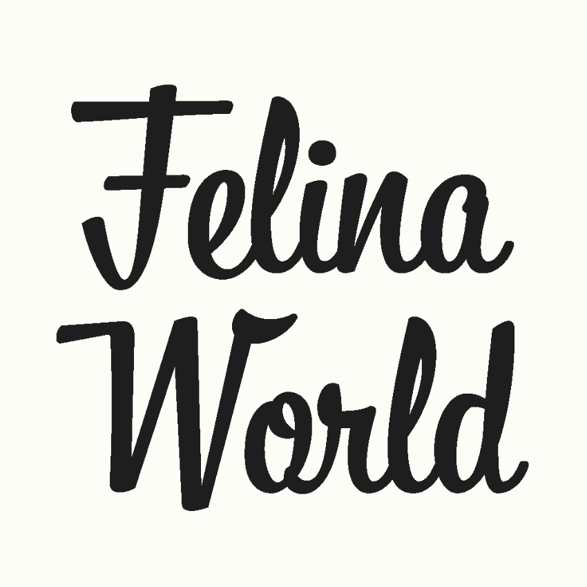 Felinaworld IT