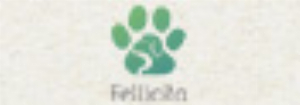 Fellicita