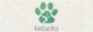 Fellicita