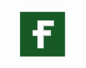 Fintel