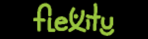 Flexity Europe