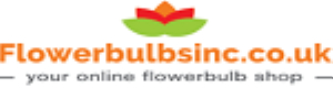 FlowerBulbsInc