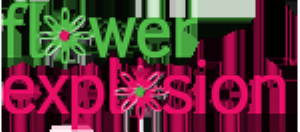 flowerexplosion
