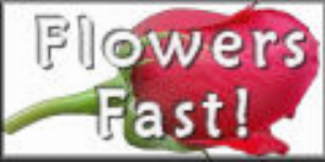 Flowers Fast -Send Flowers Same Day Delivery
