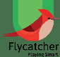 Flycatcher