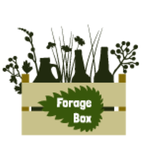 Forage Box