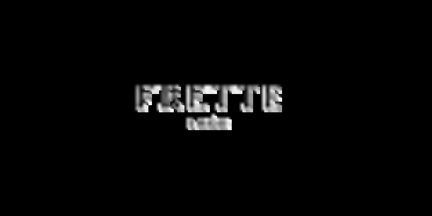 Frette geo s Reporting One day