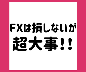 FX FX 24-0411