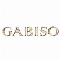Gabiso Electronic Co Ltd
