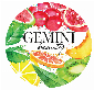 Gemini Beauty