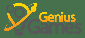 geniusgames org