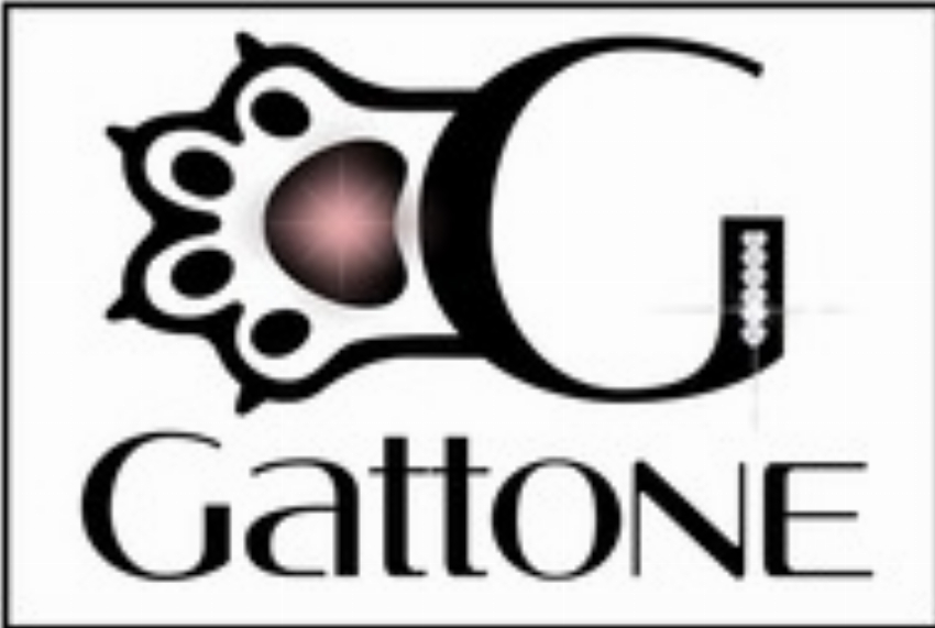 Glitter Gattone