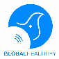 Global Integrated Energy