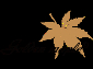 Golden Maple