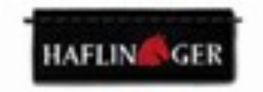 haflinger