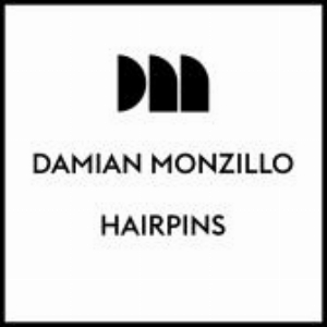 Hairpins by Damian Monzillo