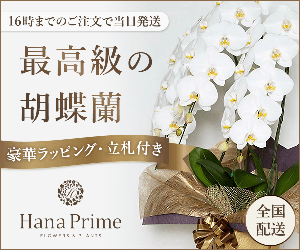 Hana Prime 18-1120