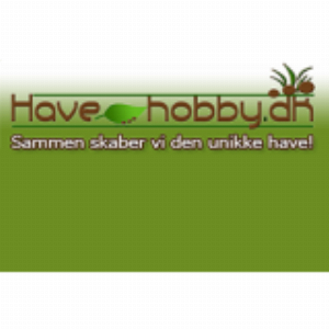 HaveHobby